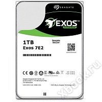 Seagate Exos ST1000NM0008