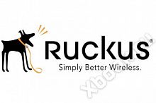 Ruckus Wireless 909-0100-RXGW