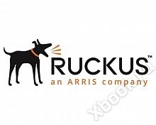 Ruckus E25G-SFP28-AOC-1001