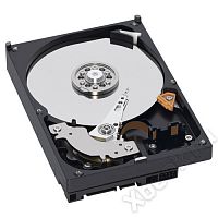 EverFocus 2Tb