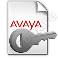 AVAYA 205650